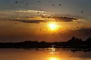 Flooding: Channels and lakes during sunset in the