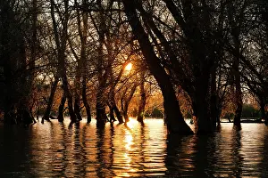 Flooding: Channels during sunrise in the Danube Delta