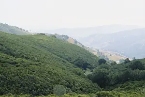 Shrubland: Chaparral Biome, California