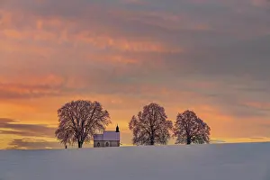 Emergency: Chapel 14 emergency helpers with old trees in snow-covered
