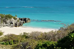 Defreitas: Chaplin Bay beach, Bermuda