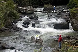 Attach: Character crossing Irubi river with his Ass Ecuador