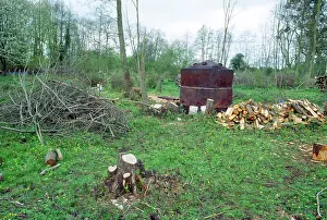 Coppice: Charcoal Burning - of Hazel Coppice