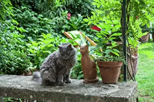 Sculptures: Chartreux cat on a garden terrace
