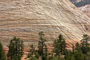 Zion: Checkerboard Mesa