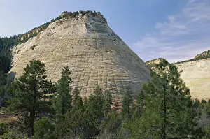 Zion: Checkerboard Mesa, Utah