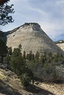 Zion: Checkerboard Mesa, Utah