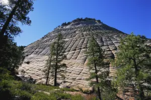 Zion: Checkerboard Mesa, Utah