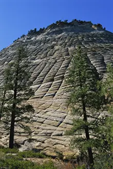 Zion: Checkerboard Mesa, Utah