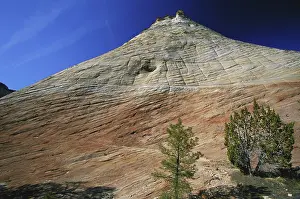 Zion: Checkerboard Mesa, Utah