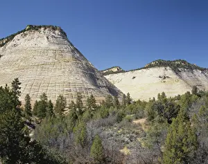 Zion: Checkerboard Mesa, Utah