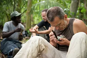 Scientist: Checking the body fat of a Pearly-eyed Thrasher