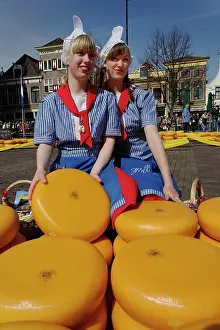 Festival: Cheese at the Alkmaar Cheese Market, Alkmaa