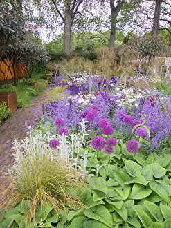 Exhibitions: Chelsea Flower Show 2006