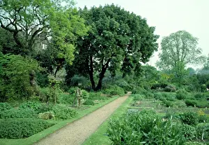 Chelsea: Chelsea Physic Garden, UK