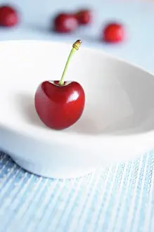 Lifestyle: Cherry, Prunus, Red subject