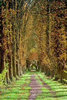 Lined: Chestnut avenue