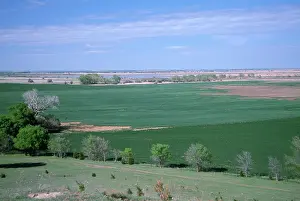 Stopover: Cheyenne Bottoms Wildlife Area, Kansas