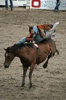 Styles: Cheyenne's World-Famous Rodeo Wyoming USA