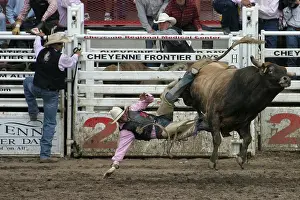 Styles: Cheyenne's World-Famous Rodeo Wyoming USA