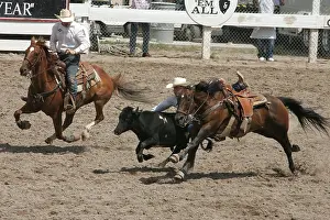 Styles: Cheyenne's World-Famous Rodeo Wyoming USA