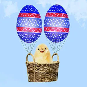 160419: Chick, in basket with Easter Eggs