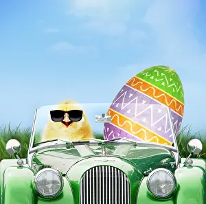 280219: Chick driving car through spring scene with Easter egg