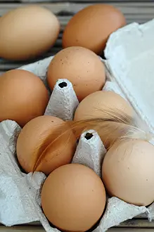 Selling: Chickens or eggs from poultry raised outdoors