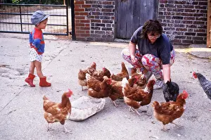 Free: CHICKENS - Being fed by woman and child