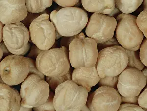 Arietinum: Chickpeas