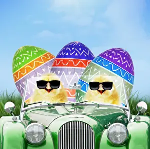 280219: Chicks driving car through spring scene with Easter eggs