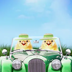 Bonnets: Two chicks driving green sports car wearing Easter bonnets i