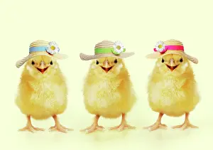 Bonnets: Three Chicks wearing Easter bonnets