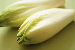 Sailors: Chicory