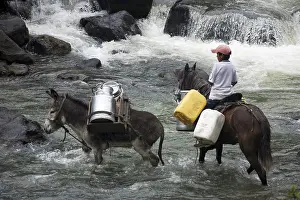 Attach: Child crossing Irubi River on horseback with his Ass