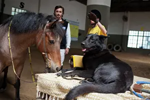 Trust: Child cuddling a dog to exercise in trust and horse