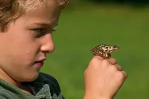 Pickerel: Child and Frog - 7 year old boy holding pickerel frog