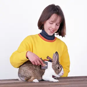 Brushes: Child grooming Rabbit