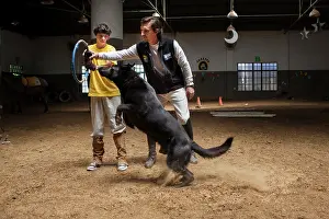 Exercise: Child making a trust exercise with a dog - Argentina