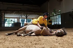 Speaking: Child making a trust exercise on a horse in horse therapy