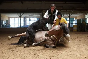 Speaking: Child making a trust exercise on a horse in horse therapy