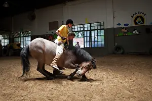 Headcollar: Child performing a balancing act on a horse lying