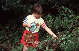 Ardea London: Child picking blackberries