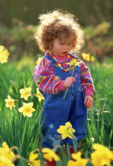 James Marchington: Child - two year old girl among daffodils