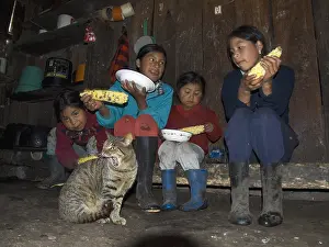 Rustics: Children eating Corn in their home Imbabura
