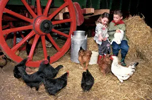 Cartwheel: Children - feeding chicken and rabbit in barn with
