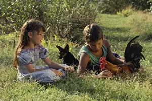 Pinschers: Children sitting in the grass with Pinscher dog and cock
