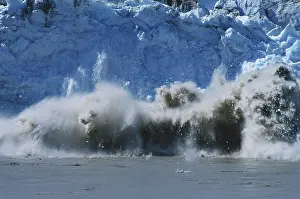 Calving: Childs Glacier, Calving