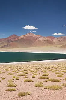 Atacama: Chile, Atacama Desert, Laguna Miscanti