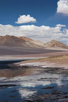 Jama: Chile, Atacama Desert, Salar de Aguas Calientes